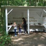 Museum in the Woods, Holz, Rindenabdrücke aus gebranntem Ton, Breite 4 m, Tiefe 2 m, Darmstadt, Waldkunstprojekt Kunst und Ökologie, 2018