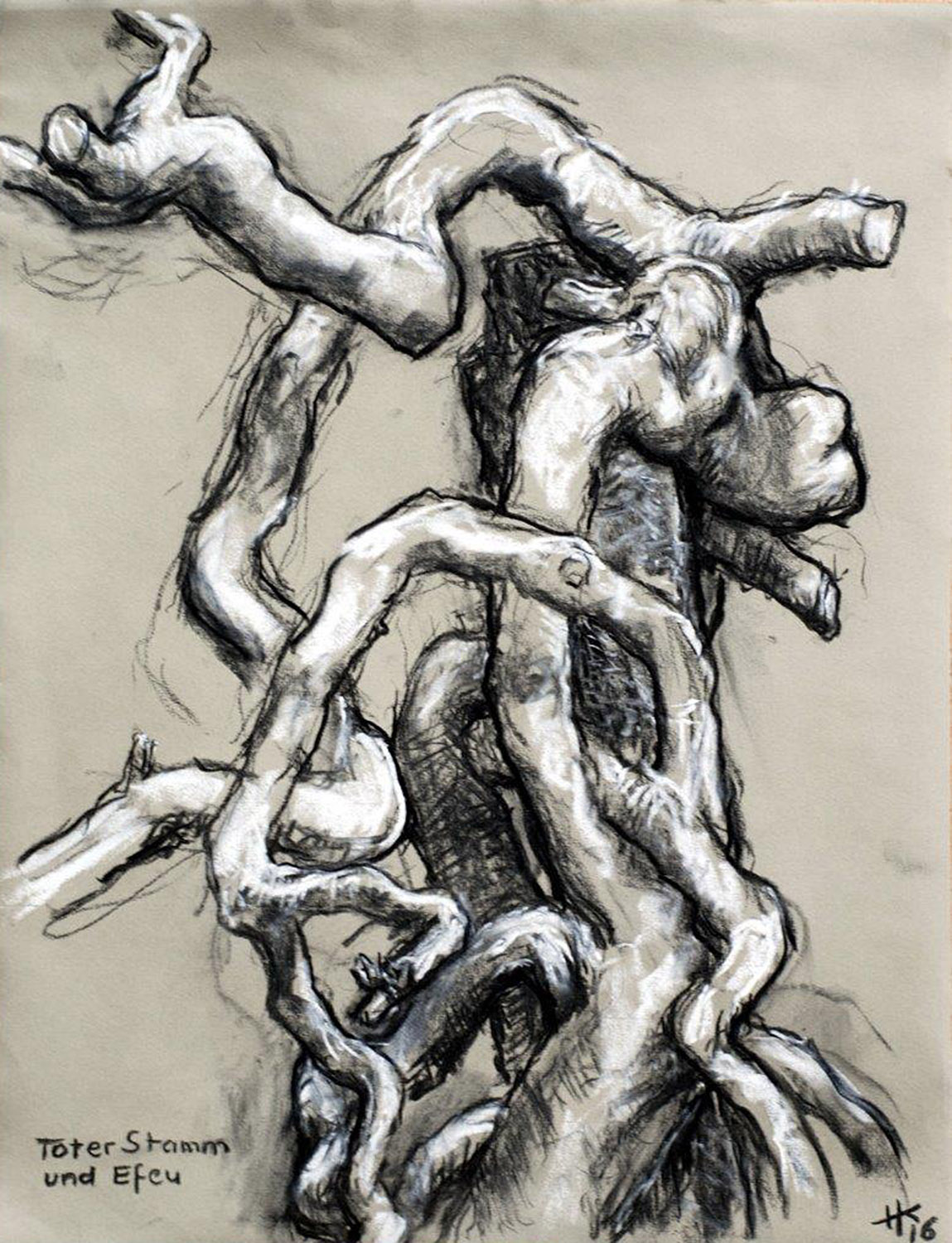 „Toter Baumstamm u. Efeu“, Kohle und Kreide auf Grau, 2016, 48,7 x 63,5 cm